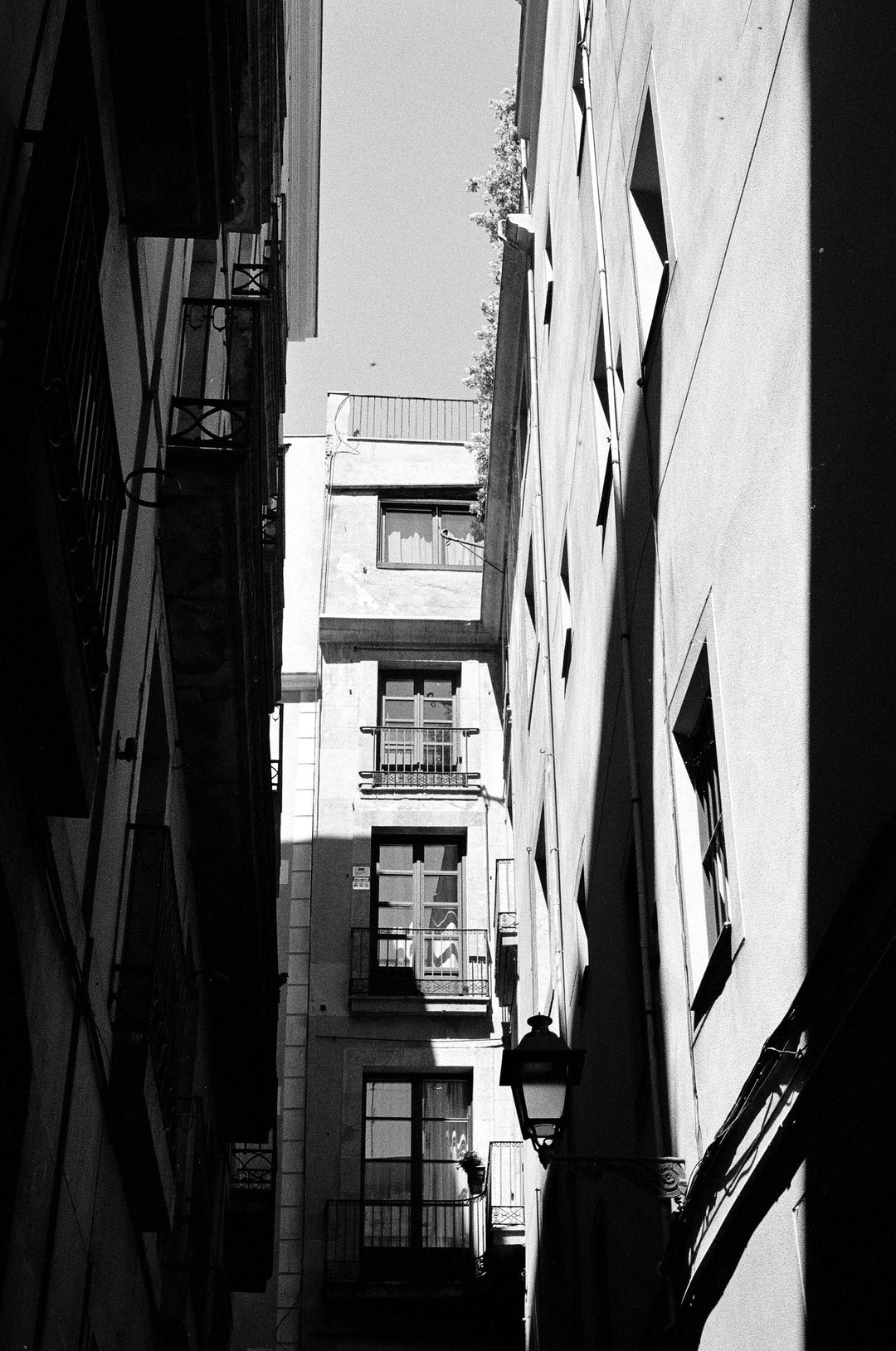 Ilford HP5 Plus 400 Black & White 120 Medium Format Film