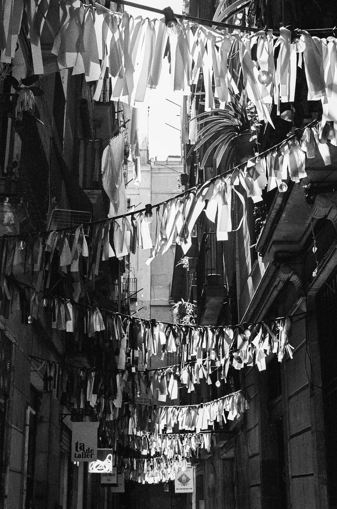 Ilford HP5 Plus 400 Black & White 120 Medium Format Film